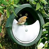 Nistkasten Fur Halbhohlenbruter