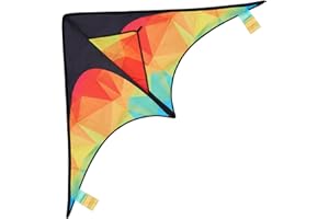 Aomig Cometas para Niños, Cometa Tragar de Golondrina con Cordón y Cola de la Cometa, Cometa Niños Tragar de Golondrina, Cometas y Juguetes Voladores para Actividades al Aire Libre Playas Parques