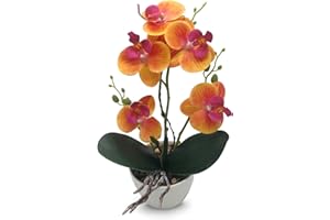 Qucover Orquídea Phalaenopsis Artificial Naranja, Flores Artificiales Pequeña Planta con Maceta de Cerámica Blanca, Decoración para Dormitorio Sala de Estar Balcón Baño Mesa