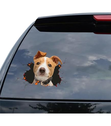 Adesivo Auto Con Stemma Albania E Aquila Albanese - Bianco, 30 Cm, Per Vetri E Superfici Lisce - Foto 2