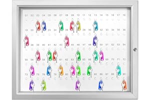 Danieli Store - Armario para Llaves con 90 Ganchos Numerados. Caja para Llaves con Puerta de Acrílico Transparente y Fondo de Acero Lacado