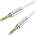 SYNCWIRE Aux Cable 3.5 mm Audio Cable - 1 m Nylon Jack Cable for Headphones, Apple iPhone iPod iPad, Echo Dot, Home/Car Stereos, Smartphones, MP3 Players and More - Silver