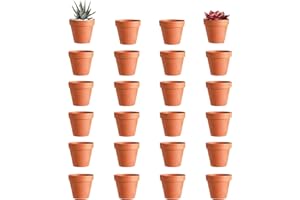 ACONDE Mini Macetas para Flores de Terracota: 24 Piezas 3.5×3cm Terracota Suculentas con Orificio de Desagüe - Decoración del Festival de Bricolaje Plantación de Plantas Pequeñas Cactus Carnoso