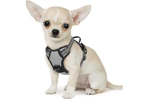 Eagloo Uprząż dla małych psów, uprząż dla małych psów, z paskami odblaskowymi i kontrolą, regulowana, trwała, nadaje się do chodzenia i joggingu, szara, XS