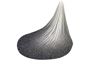 ELAWBTY 1 T Einfarbig Glitzer Tüll Schleier Lang Hochzeit Brautschleier F47