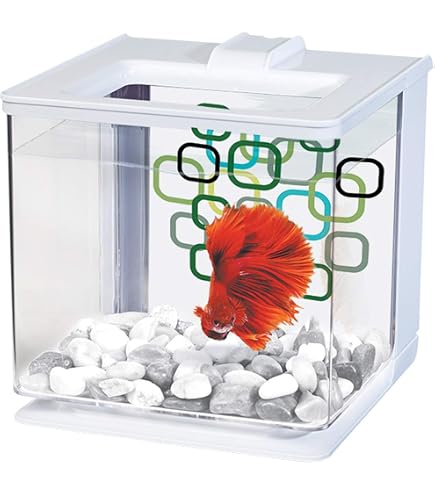 Mini Bocal à Poissons Transparent En ABS - 2 Tailles (12,5 Cm Ou 18 Cm), Résistant Aux Chocs, Pour Décoration Ou Centre De Table - 2