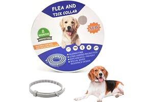 FIVEMILEBRO Tick Collar for Dogs, Flea Collar Dogs, Flea Collar, Adjustable, Up to 8 Months, Tick Protection, Natural and Waterproof, 64 cm (Ash)