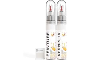 ipixline Kit Retouche Peinture Carrosserie Voiture - Stylo Correcteur Peinture 30 ml, Vernis Brillant 1k 30 ml - Compatible avec Ral - Blanc De Sécurité Brillant 9003
