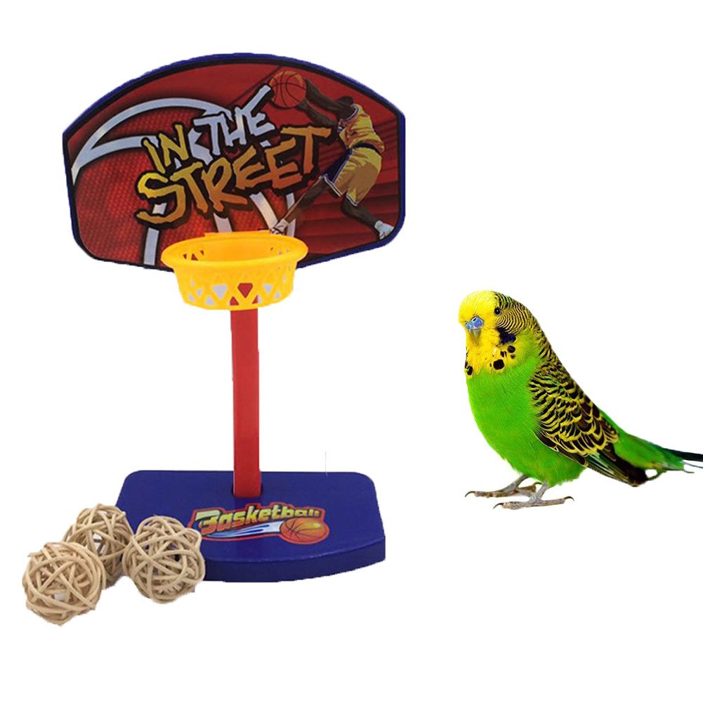diy bird toys for cockatiels