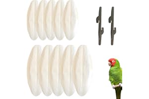 XLTXWD 12PCS Cuttlefish Bone, for Tortoise Tank and Bird Cage Accessories, Bird Toys for Budgies and Parakeets