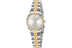 aswan watch Orologio Analogico al Quarzo Donna con Cinturino in Acciaio Inossidabile,Orologio da Donna Classico ed Elegante con Quadrante Decorato con Diamanti,Lancette Luminescenti,Cassa da 29.5MM