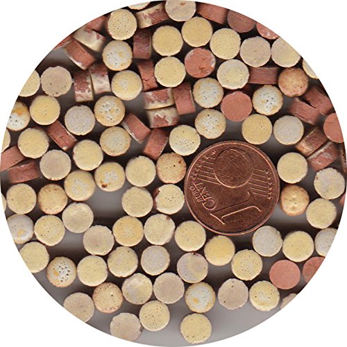 Mosaico Mini,500 micro Pietre rotonde Ø5mmx3mm, Avorio, RW01