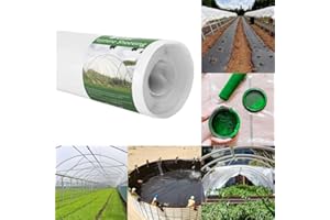 QVS Shop 2M X 3M Extra Thick Clear Heavy Duty Polythene Sheeting 250Mu / 1000G