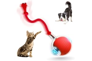 Ziswin 2026 Neue Interaktive Katzenspielzeugbälle für Hauskatzen, Bewegungsaktivierte Hundebälle mit 360° Intelligenter Automatischer Rollbewegung für Gelangweilte Kätzchen, Haustiere (Rot)