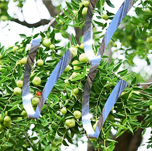 MYTK Seitige Abwehrband Vogel Band Vogelabwehr Band Reflexion (350 Fuß x 2 Zoll) - 6