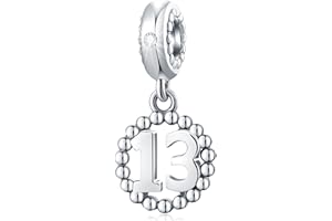 CHAWIN Number Bracelet Charms, 925 Sterling Silver Pendants/Beads Fit Pandora Charm Bracelets, Necklace, European Snake Chain,10/20/30/40/50/60 Dangling Charm for Birthday, Anniversary