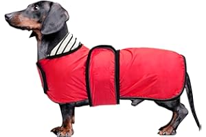 MOREZI Dog Raincoat with Reflective Stripes, Rain/Waterproof, Adjustable Vest, Suitable for Small and Medium Dogs such as Dachshund Red-L