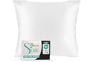 Dreamzie Taie Oreiller Soie 65x65 100% Soie Mûrier 19 Mommes Naturelle Certifiée Oeko-TEX - Bienfaits Cheveux et Peau Anti-Âge - Blanc