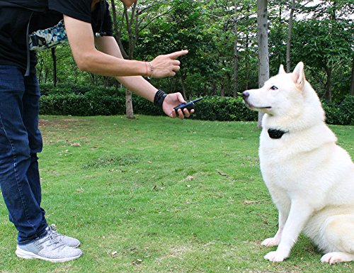 COFIT-Anti-Bark-Remote-Dog-Training-Collar-with-Sound-and-Vibration-Function