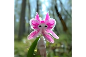 HIBORTH Graines d'Orchidée Chat - 100 Graines d'Orchidée, Fleurs Vivaces à Planter | Graines de Fleurs pour Intérieur et Extérieur (I)