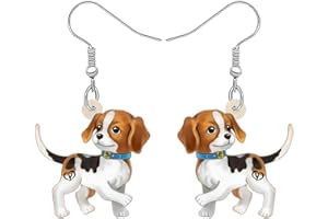 RAIDIN Boucles d'oreilles à pendantes chien mignon Bijoux en acrylique pour femmes filles Chiot Animaux de compagnie Cadeaux pour les amoureux des chiens