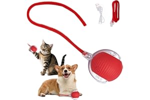 vecora Interactive Cat Ball Toys – 360° Automatic Cat Ball Toy, USB Rechargeable Irregular Moving Toys, Interactive Toy for Indoor Adult Cats & Kittens, Stimulate Cats' Hunting Instincts（1pcs）