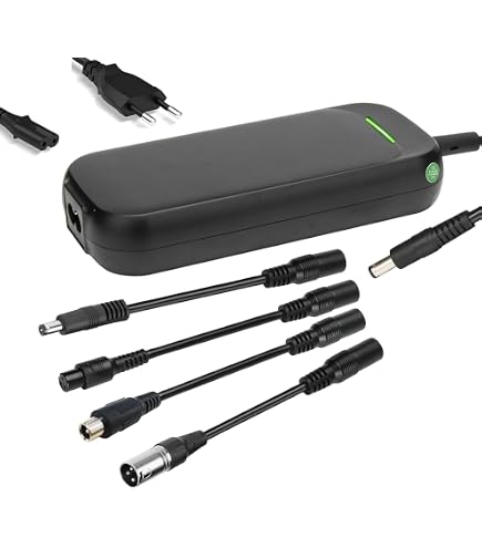 ENERpower Chargeur 29,4 V 2,5 A pour Batteries 26 V de Giant Twist Freedom, Comfort, Elegance, Express, Chargeur Accus
