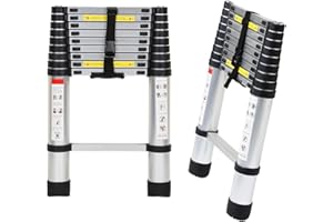 Tubiaz Échelle télescopique 2,6 m, antidérapante Polyvalente, Interrupteur de sécurité Multi-Niveaux, échelle télescopique en Aluminium, Charge maximale : 150 kg, Argent, 2.6M