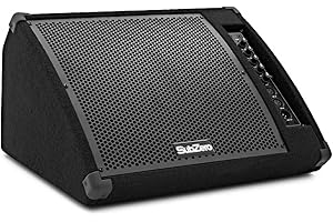 SubZero Monitor de suelo activo de 230W y 12" con ecualizador de 3 bandas y entrada de micrófono