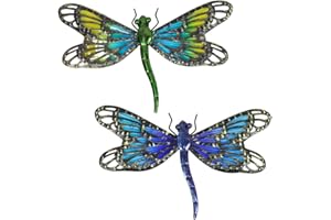 HONGLAND Metal Dragonfly Wall Decor Glass Outdoor Wall Art Hanging Garden Decorations for Living Room (Dragonfly a pair) Dragonfly Clip, Metal Wall Art.