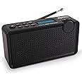 [ Test 2X GUT *] Anadol ADX-P1 DAB DAB+ Radio für UKW FM fähig, Radio tragbar - Kofferradio Stereo mit Akku - Digital Radio m