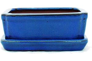 EXOTENHERZ Bonsai pot avec sous-taille 1–bleu-modèle rectangulaire g15 l 12 cm-b 9,5 cm-hauteur : 4,5 cm