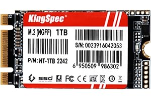 KingSpec SSD 1To M2 SATA 2242, 3D NAND Flash, Interne Disque Dur SSD SATA III 6Gb/s, Compatible avec Desktop et Laptop
