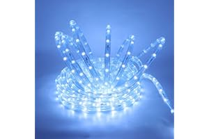 Wisada 220V LED Rope Light [1m, White Light 6000-6500K], 360° Luminous Lighting LED Strip, IP67 Waterproof Flexible, Suitable for Indoor and Outdoor Decoration