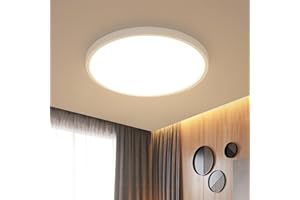 Delaveek Plafonnier LED 24W IP44，Luminaire Plafonnier Ultra-mince Ø30CM Rond, Luminaire Moderne 2700LM 3000K Lumière Chaude pour Salle de Bain Chambre Cuisine Salon Balcon