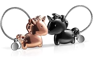 Foonii 1 par Parejas Llaveros, magnética Desmontable Auto Llaveros, para Parejas Mujer Hombre (Negra + Oro Rosa)