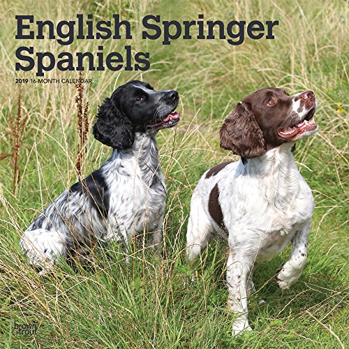 Download English Springer Spaniels 2019 Calendar Download English Springer Spaniels 2019 Calendar