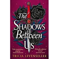 The Shadows Between Us: A decadently romantic standalone fantasy