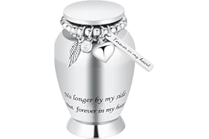 QGJNSGC Small Urns for People Ashes Keepsake Cremation Urn with Wings Charm Minis Personal Funeral Urn for Pet or Human Ashes Memorial Ash Keepsake