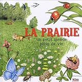 La prairie : Un petit monde plein de vie
