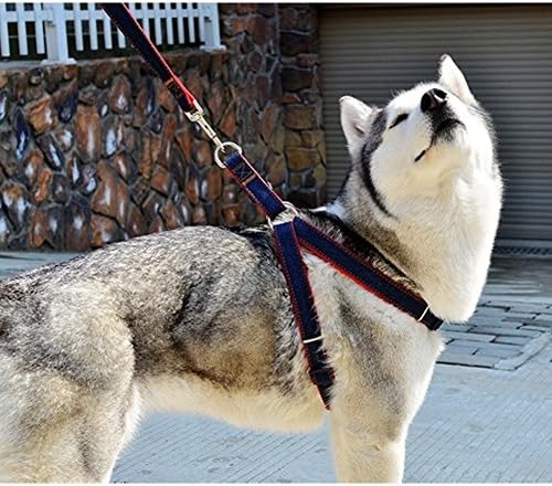 CDQ No-Pull Dog Leash Harness, Freedom Adjustable and Heavy Duty Denim Dog Training Walking Leash Collar for Large/Medium/Small Dog