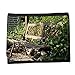 Produktbild Portemonnaie Geldbörse Brieftasche // M00290833 Garten-Bank Bank Lehne Sitz Holz // Small Size Wallet