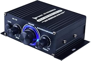 Ragyzity Power Amplifier Home Audio System, AK170 Amplifier DC 12V, Home Audio Stereo Hi-Fi Power Amplifier, Dual Channel Sound Stereo Receiver Box with LED for Speaker PC TV Cell Phone Car Vehicle