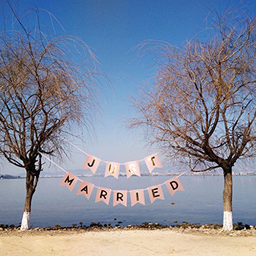MagiDeal Schöne Wimpel Girlande “JUST MARRIED“ Bunting Wimpelkette Wimpeln für Party - 3