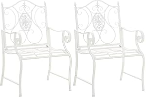 CLP Juego de 2 sillas de jardín Punjab de Estilo casa de Campo I Silla de Hierro Lacado I Silla de jardín Extra Robusta, Color:Blanco