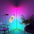 EVVIX Corner Floor Lamp RGB Remote Control Led Floor Lamps Floor Lamp Vertical Type Floor Lamp Acrylic Lampshade Nordic Style for Living Lighting Bedroom Decor Floor Lamp, Black