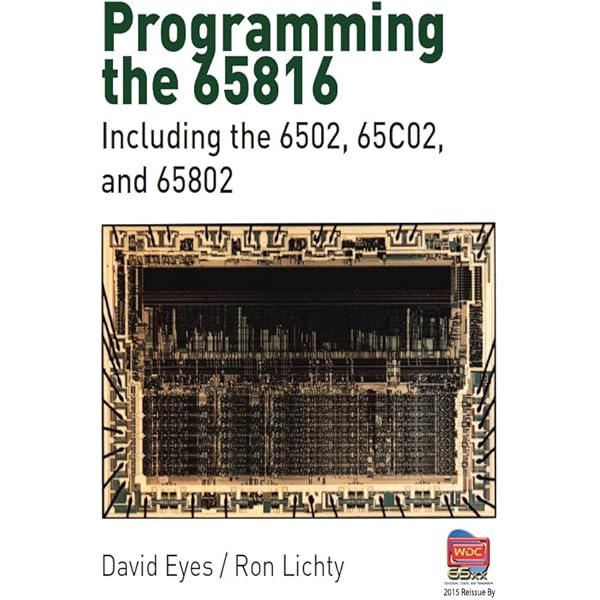 Ki Build Your Own Computer: From Scratch (From Scratch Series Book 9