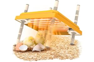 BESTYIJO Chioccia Artificiale per Pulcini, Piastra riscaldante per polli, Lampada Riscaldante Per Pulcini da 10 * 10 pollic, Altezza Regolabile, Temperatura Costante, per 15 Polli/Anatre (colore)