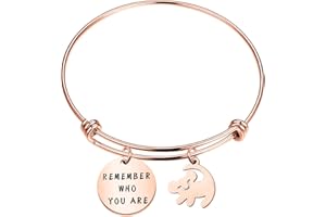 Bauna, Braccialetto rigido ispirato al Re Leone, con condolo con leone e frase in inglese "Remember who you are", regalo per amici