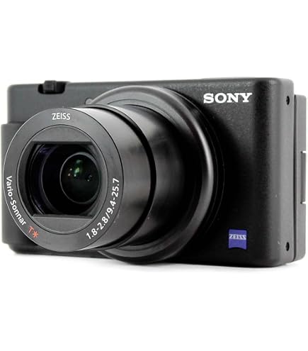 Panasonic Lumix DMC-ZX1 : Amazon.it: Electronics